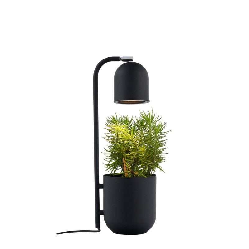 BOTANICA black lamp with a flower pot, standing lamp for the table and desk KASPA