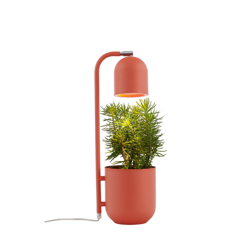 BOTANICA coral lamp with a flower pot, standing lamp for the table and desk KASPA