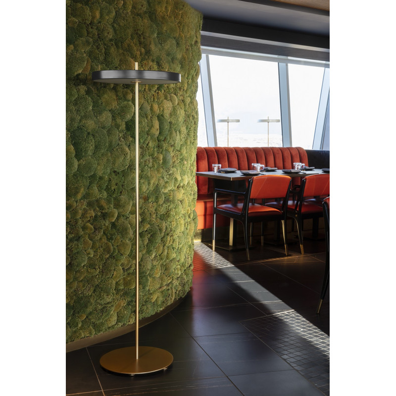 Asteria Floor anthracite grey UMAGE floor lamp integrated 24W LED panel