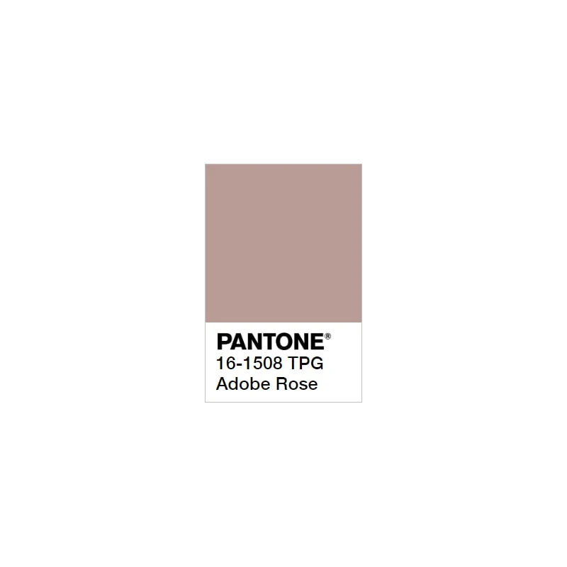 Pantone 14-1307 Tcx Rose Dust Color