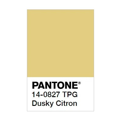 Dusky Citron BELCANTO hanging lamp 28cm LOFTLIGHT