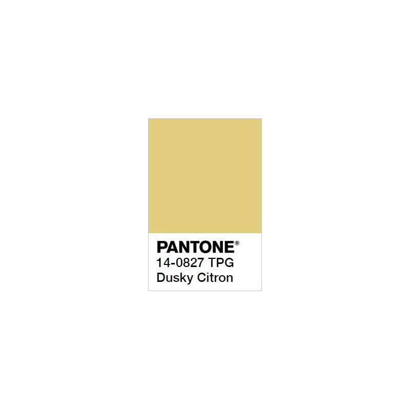 Dusky Citron BELCANTO hanging lamp 28cm LOFTLIGHT