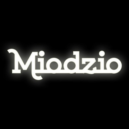 Illuminated lettering Miodzio 25cmx20cm Ledon