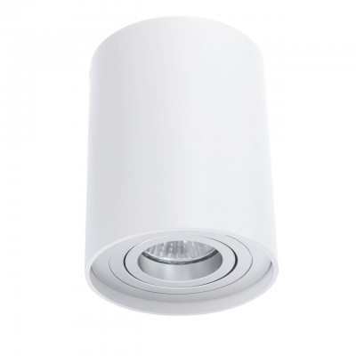 TUBA NERO 1L WH ceiling lamp, C1234-1L WH Led wall lamp, metal Auhilon Deco Lighting