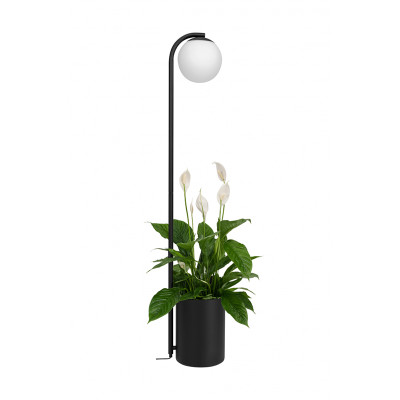 Black Botanica Deco XL Wood floor lamp with pot and oak lid KASPA