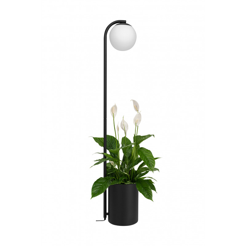 Czarna lampa podłogowa Botanica Deco XL Wood z doniczką i dębową zakrywką KASPA