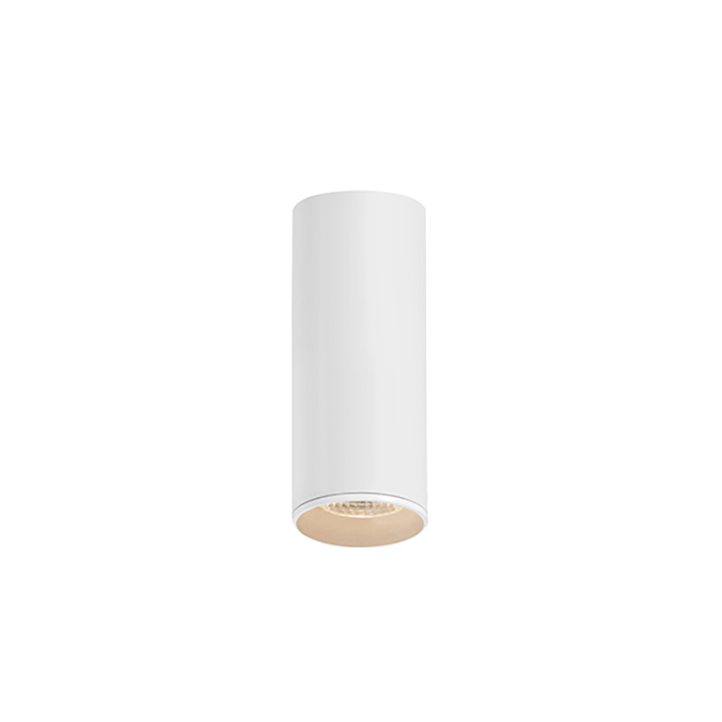 Barlo 13 white surface-mounted ceiling spotlight – KASPA