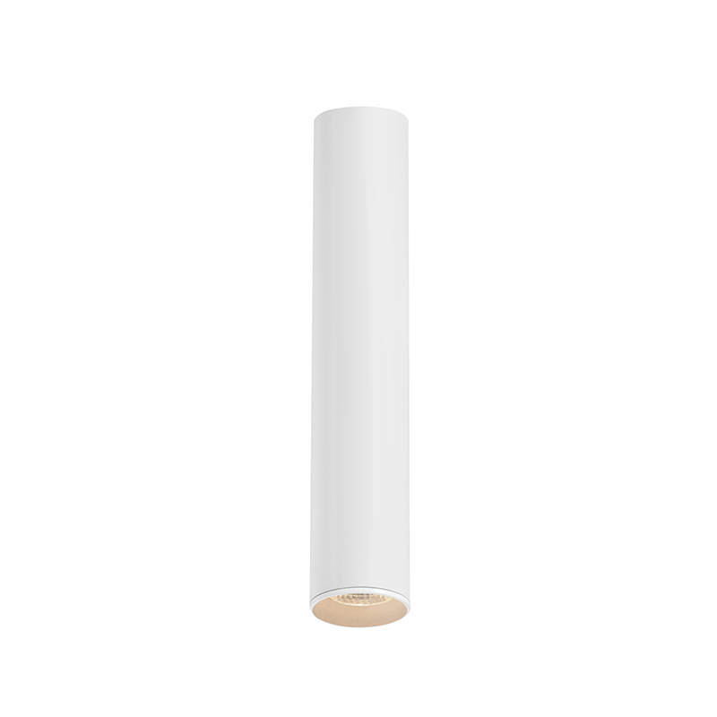 Barlo 30 white surface-mounted ceiling spotlight – KASPA