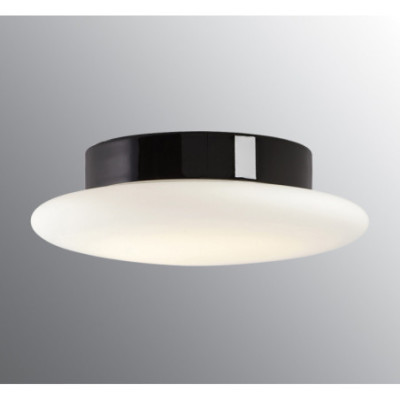 Black Ceiling and Wall Light Cairo Medium LED DALI 12 W 3000 K 1350 lm Porcelain Light IP44 with Opal Glass Shade Ifö Electric