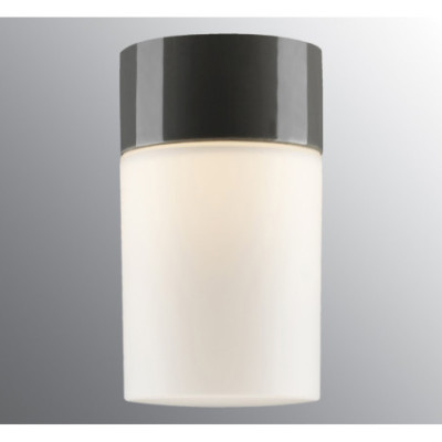 Grey Ceiling and Wall Light Sauna Opus 100/175, E27 max. 40 W, Porcelain Light IP44 with Opal Glass Shade Ifö Electric