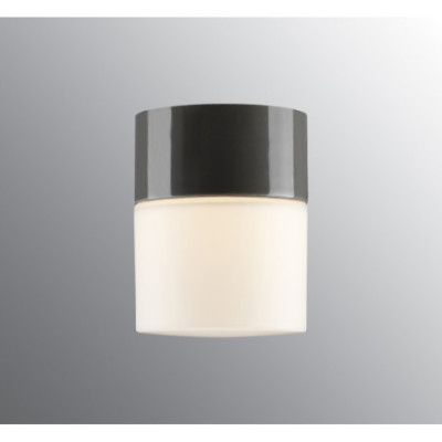 Ifö Electric Opus 100/125 Grey G9 Max 40 W IP44 Matt Opal Glass Ceiling/Wall Light