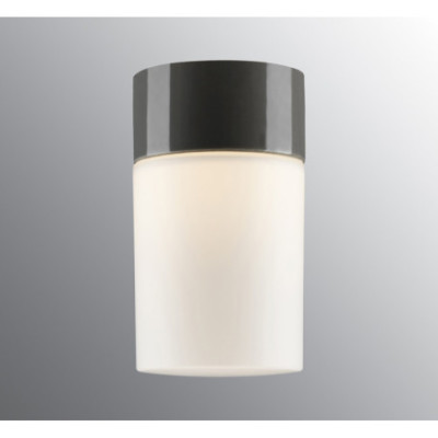 Ifö Electric Opus 100/175 Grey LED 8 W 3000 K 800 lm IP44 Matt Opal Glass Ceiling/Wall Light