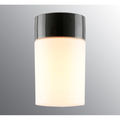 Ifö Electric Opus 120/200 Grey E27 Max 60 W IP54 Matt Opal Glass Ceiling/Wall Light
