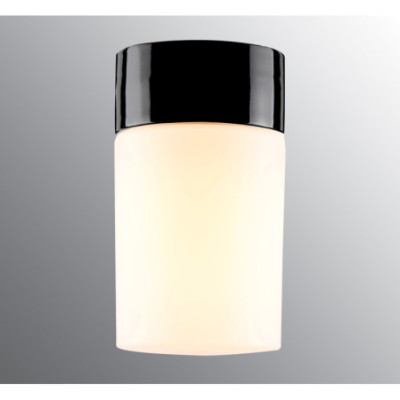 Ifö Electric Opus 120/200 Black E27 Max 60 W IP54 Matt Opal Glass Ceiling/Wall Light