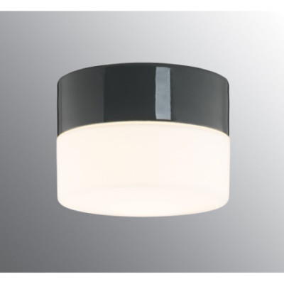 Ifö Electric Opus 140/100 Grey LED 10 W 2700 K 1000 lm IP44 Matt Opal Glass Ceiling/Wall Light