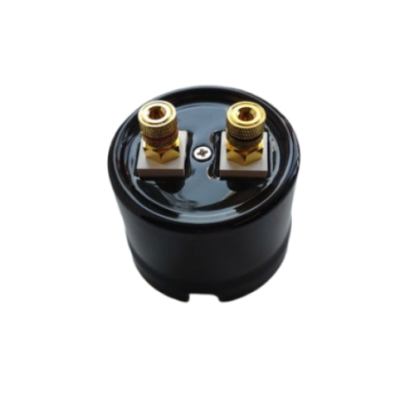 Alkri Antica Black Surface Speaker Socket