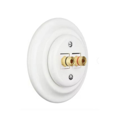 Alkri Antica White Flush-Mounted Speaker Socket