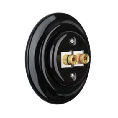 Alkri Antica Black Flush-Mounted Speaker Socket
