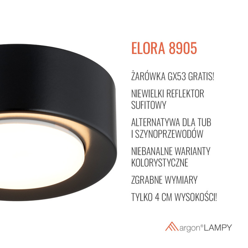 Argon ELORA Black Ceiling Light