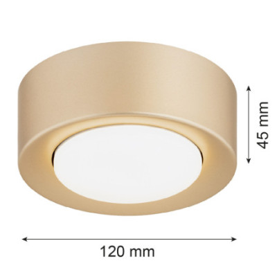 Argon ELORA Gold Ceiling Light