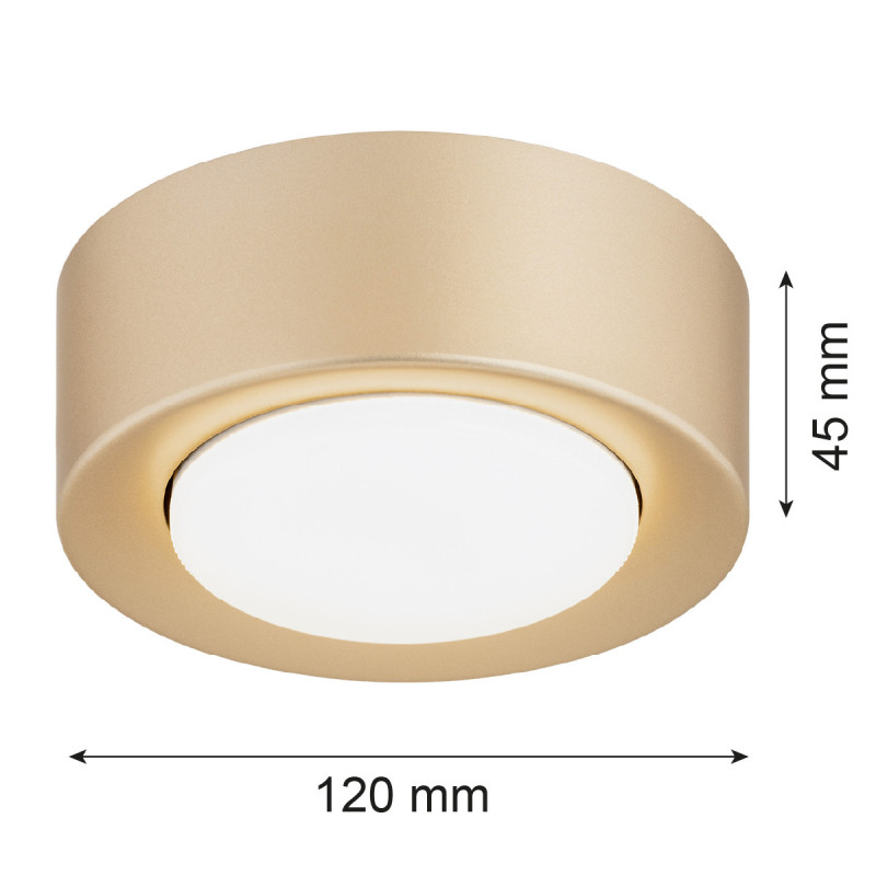 Argon ELORA Gold Ceiling Light