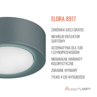 Plafon ELORA w kolorze ciemnej szałwi Argon