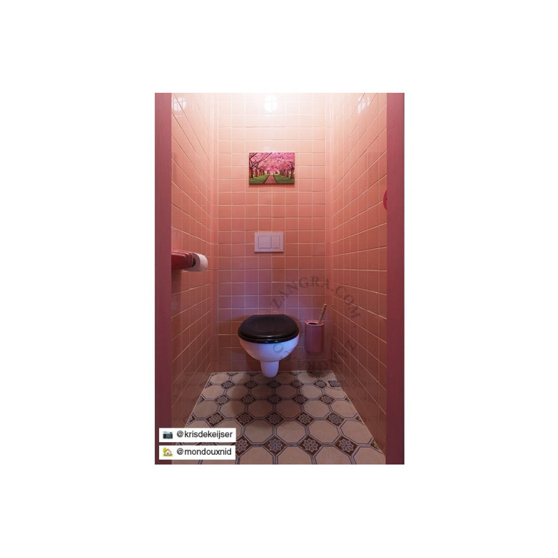 Pink porcelain toilet roll holder Zangra