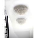 Wall lamp with feathers Eos Up white UMAGE