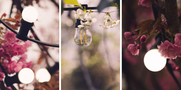Girlanda z żarówek na prąd – idealny sposób na rozświetlenie ogrodu