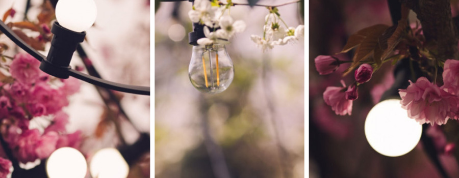 Girlanda z żarówek na prąd – idealny sposób na rozświetlenie ogrodu